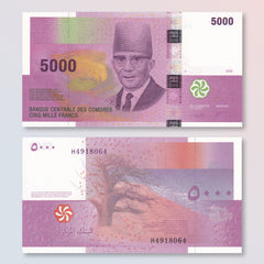 Comoros 5000 Francs, 2006 (2020), B309c, P18a, UNC - Robert's World Money - World Banknotes