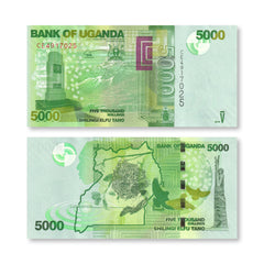 Uganda 5000 Shillings, 2019, B156f, P51, UNC