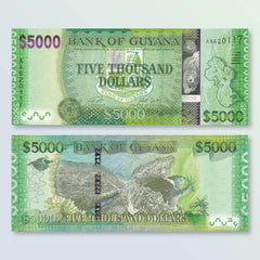 Guyana 5000 Dollars, 2018, B118b, P40, UNC - Robert's World Money - World Banknotes